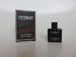 Cedrat - Pinaud - Eau De Toilette - 4 ML - Miniaturen Flesjes Heer (met Doos)