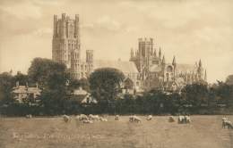 GB ELY / Ely Cathedral From South West / - Ely