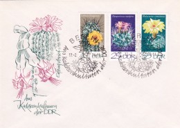 Cactus - Enveloppe - Carte - Document - Sukkulenten