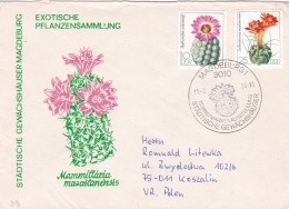 Cactus - Enveloppe - Carte - Document - Cactussen