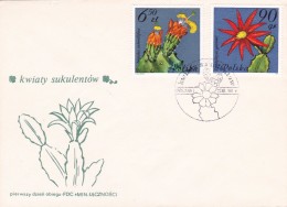 Cactus - Enveloppe - Carte - Document - Cactussen