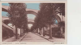 91 - MASSY / AVENUE CAMBACERES - Massy