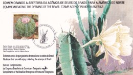 Cactus - Enveloppe - Carte - Document - Cactus