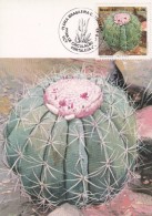 Cactus - Enveloppe - Carte - Document - Cactussen