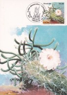 Cactus - Enveloppe - Carte - Document - Cactussen