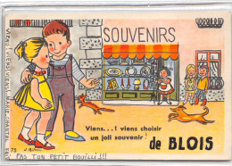 41- BLOIS - CARTE A SYSTEME -  VIENS ! VIENS CHOISIR UN JOLI SOUVENIR ! - Blois