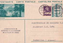 Cactus - Suisse Entier Postal - Sukkulenten