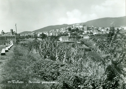 Velletri. Scorcio Panoramico. 134 - Velletri