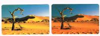 NAMIBIA - NAMIBIA TELECOM - DESERT: LOT OF 2 WITH DIFFERENT COLOUR AND CHIP - USATA (USED) -  RIF.  2486 - Namibië