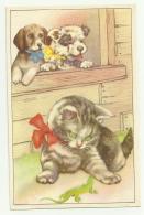 CUCCIOLI DA REGALO NV FP - 1900-1949