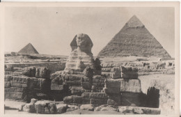 Egypte   Cheops Pyramide - Sfinge