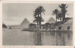 Egypte Pyramide Of Gizeh - Piramiden