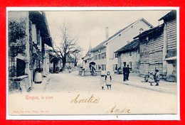 SUISSE -- GINGINS --  La Place - Gingins