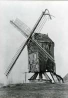 SINT-ANTELINKS Bij Herzele (O.Vl.) - Molen/moulin - Standaardmolen "Ter Rijst" Kort Voor De Instorting (1973). TOP !!! - Herzele