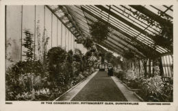 GB DUNFERMLINE / In The Conservatory, Pittenorieff Glen / CARTE GLACEE - Fife