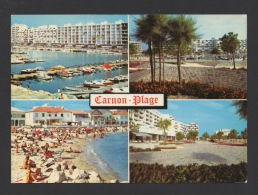 DF / 34 HERAULT / MAUGUIO - CARNON / CARNON PLAGE / LE PORT DE PLAISANCE, LA PROMENADE, LA PLAGE, LES RÉSIDENCES - Mauguio