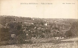 71 SEMUR EN BRIONNAIS - Vallée St Martin - Otros & Sin Clasificación