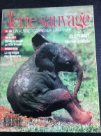 TERRE SAUVAGE N° 29 : Neguev, E. Wiesel _ Elephant - Insectes. 1989 - Animals