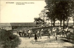 ILE D´OLERON - Gros Plan De La Vie Sur L´Ile - Détaillons Collection – A Voir  – Lot N° 16004 - Ile D'Oléron