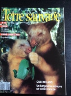 TERRE SAUVAGE N° 43 : Corse - Fonds Australiens - Queensland, Kangourou. 1990 - Animali