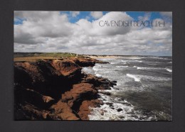 CHARLOTTETOWN - PRINCE EDWARD ISLAND - CAVENDISH BEACH  - 17 X 12 Cm - 6¾ X 4¾ Po - BY POSTCARD FACTORY - Otros & Sin Clasificación