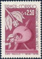 BRAZIL # 858 -  CENTENARY OF FOUNDATION OF THE CITY OF RIBEIRÃO PRETO  -  1957 - Unused Stamps