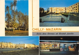 ESSONNE  91  CHILLY MAZARIN  BOIS DES ORMES ET GRAND JARDIN  QUATRE VUES - Chilly Mazarin