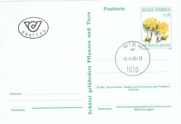 FLORA-L3 - AUTRICHE Entier Postal Carte Avec Adonis Printannière, Obl. 1er Jour 1990 - Postcards