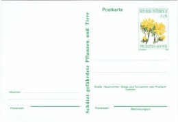 FLORA-L2 - AUTRICHE Entier Postal Carte Avec Adonis Printanière - Cartoline