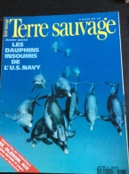 TERRE SAUVAGE N°96 :  Les Dauphins Insoumis De L'U.S. Navy. - ïles De L'atlantique. 1995 - Animales