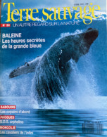 TERRE SAUVAGE N°50 : Baleine - Babouins - Phoques - Mongolie. 1991 - Animaux