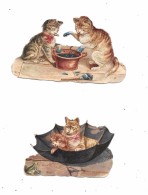 9079 - Lot De 2 Découpis, CHATS - Animali