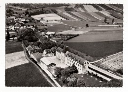 89 - ST BRIS LE VINEUX - VUE AERIENNE - COLONIE DE VACANCES DE MONTREUIL - Saint Bris Le Vineux