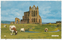 Whitby Abbey, 1970 Postcard - Whitby