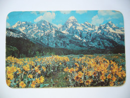 US Wyoming - Snow Capped Teton Range Over A Foreground Of Wild Flowers In The Jackson Hole - 1970 Used - Otros & Sin Clasificación