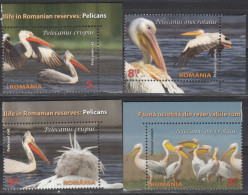 ROMANIA- 2015 Birds- Pelicans- MNH Set With Tags ( Pelikane, Pelikanen) - Pelícanos