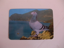 Birds Carrier Pigeon Pombo Correio Portugal Portuguese Pocket Calendar 1990 - Small : 1981-90