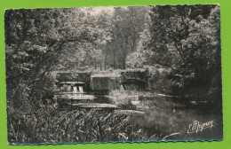 DORDIVES - Les Bords Du Loing Le Pont Et Le Barrage De La Goulette Photo Véritable Circulé 1956 - Dordives