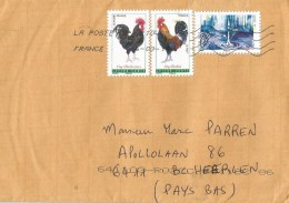 France 2016 Toulon Old Race Cock Chicken Cover - Gallinaceans & Pheasants