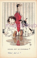 Enfant Et Chien Devant Une Flaque D'eau - Lequel Est Le Coupable - What Did It ? - Illustration MICH - Vierge -  2 Scans - Mich