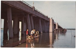 Bridge At Ocean City, Maryland, Unused Postcard [17617] - Ocean City