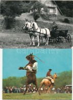 ** * 10 Db MODERN Motívumlap; Lovak / 10 Modern  Motive Cards; Horses - Non Classificati