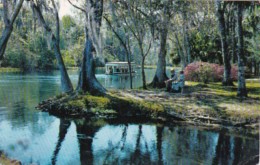 Florida Silver Springs Glass Bottom Boat Along Silver River 1975 - Silver Springs