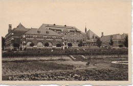 JODOIGNE.  ECOLE NORMALE POUR JEUNES FILLES. FACADE VERS LES JARDINS. - Geldenaken