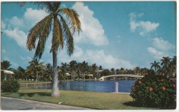 Picturesque Waterways, Fort Lauderdale, Florida, Unused Postcard [17727] - Fort Lauderdale