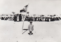 Sahara Occidental - Front Polisario Militaire - Enfant Drapeau - Photographe Christine Spengler - Sygma - Asien