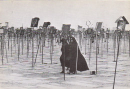 Iran - La Femme En Iran - Cimetière Photo Martyrs - Photo Christine Spengler Sygma - Asie