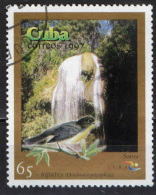 CUBA - 1996 - UCCELLO E CASCATE DI SOROA - Dendroica Pityophila, Soroa Falls - USATO - Usati