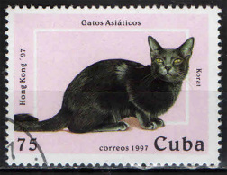 CUBA - 1996 - FELINO: KORAT - GATTO ASIATICO - USATO - Usati