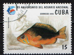 CUBA - 1995 - PESCE - FISH - ACQUARIO NAZIONALE CUBANO - USATO - Usati